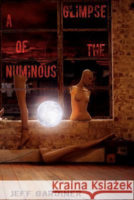 A Glimpse of the Numinous (Paperback) Jeff Gardiner 9781908125118