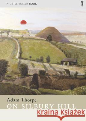 On Silbury Hill Adam Thorpe 9781908213365 Little Toller Books