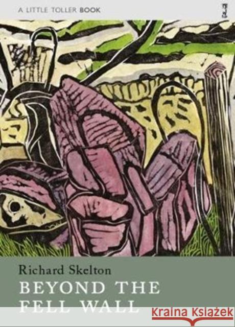 Beyond the Fell Wall Richard Skelton 9781908213587