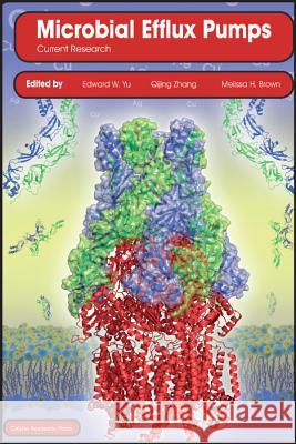 Microbial Efflux Pumps: Current Research Yu, Edward W. 9781908230218 Caister Academic Press
