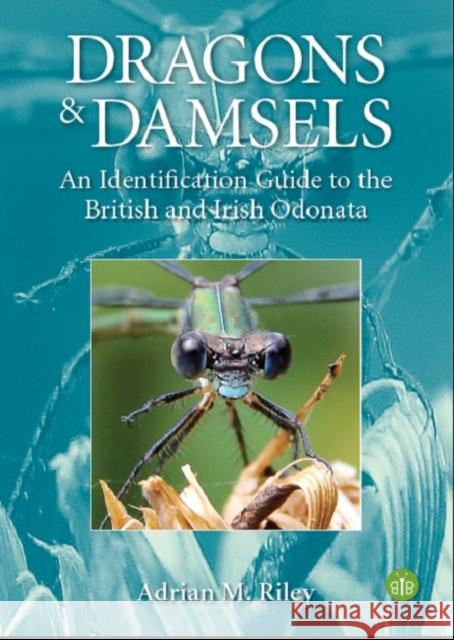 Dragons and Damsels: An identification guide to the British and Irish Odonata Adrian Riley 9781908241641 Brambleby Books