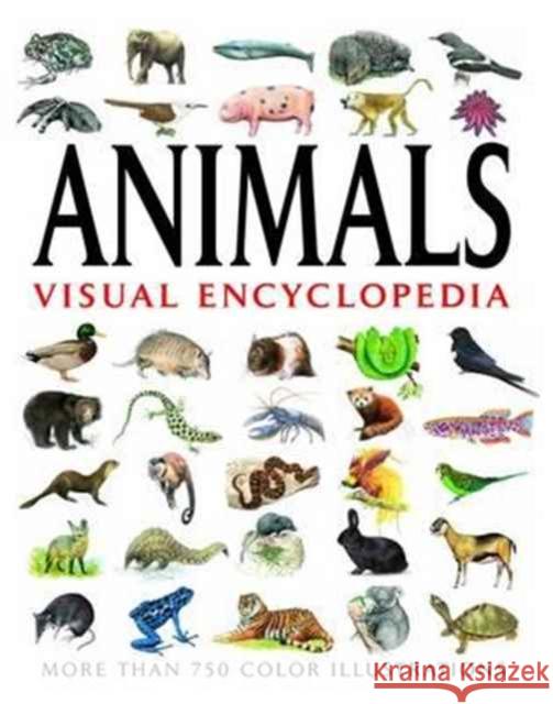 Animals Visual Encyclopedia More Than 750 Colour Illustrations  9781908273017 Visual Encyclopedia