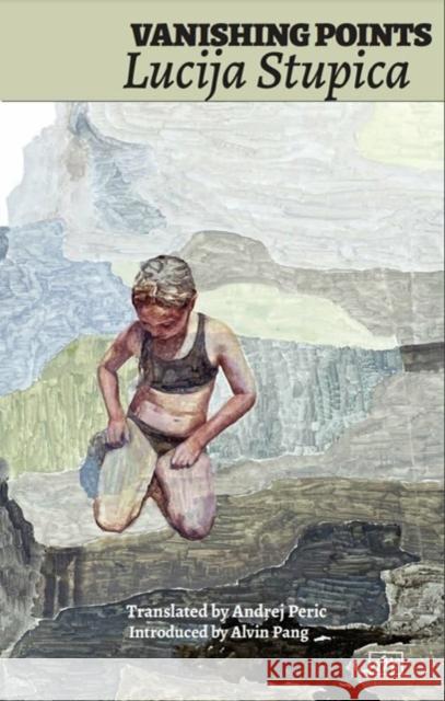 Vanishing Points Lucija Stupica 9781908376664 Arc Publications