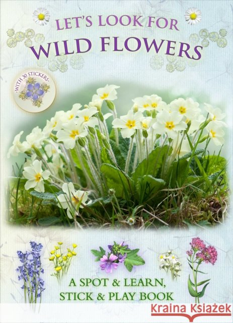 Let's Look for Wild Flowers Andrea Pinnington 9781908489067 Fine Feather Press Ltd