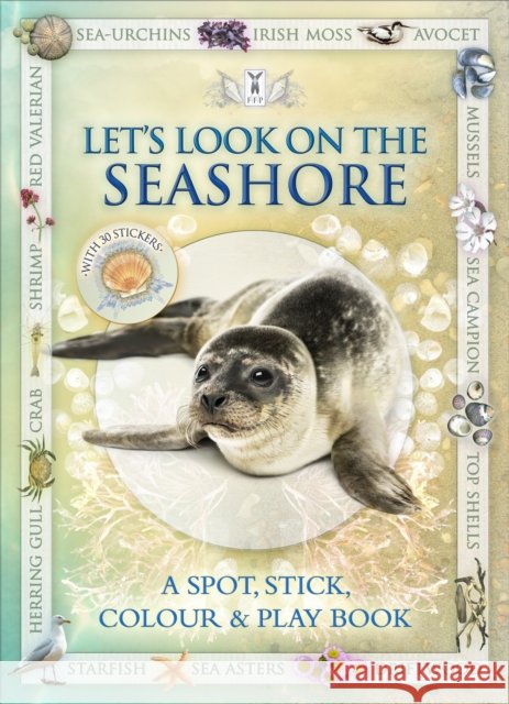 Let's Look on the Seashore Andrea Pinnington 9781908489111 Fine Feather Press Ltd