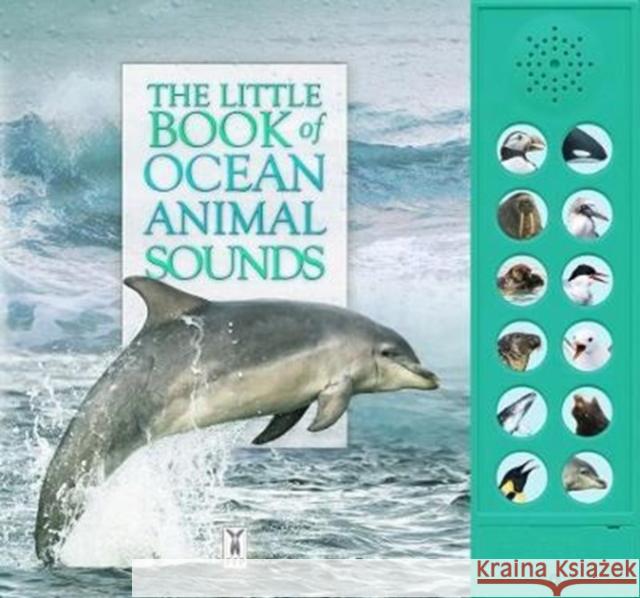 The Little Book of Ocean Animal Sounds Andrea Pinnington 9781908489326 Fine Feather Press Ltd