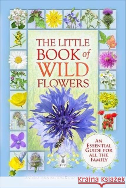 The Little Book of Wild Flowers Andrea Pinnington 9781908489449 Fine Feather Press Ltd
