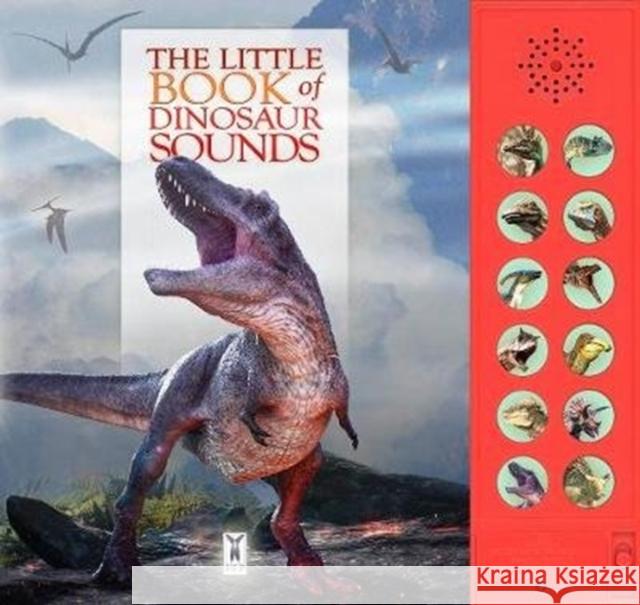 The Little Book of Dinosaur Sounds Andrea Pinnington 9781908489456