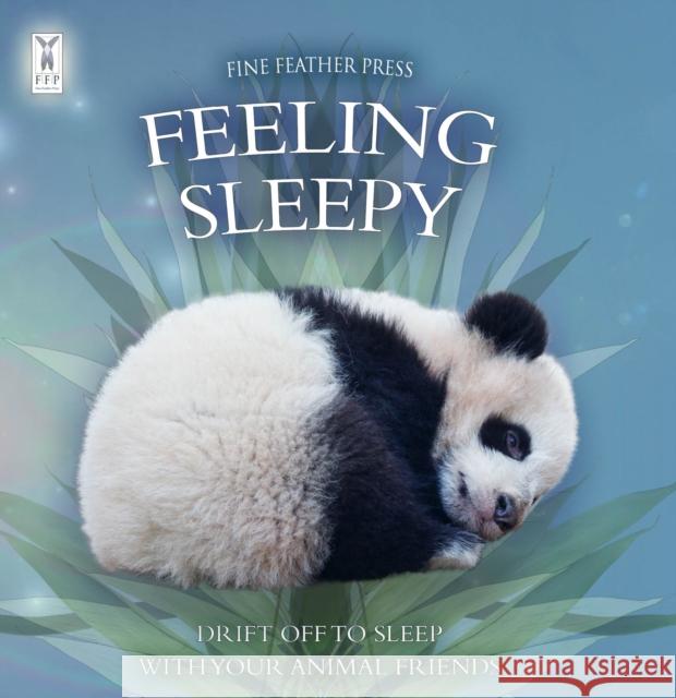 Feeling Sleepy Caz Buckingham 9781908489463 Fine Feather Press Ltd