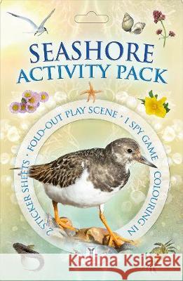 Seashore Activity Pack Andrea Pinnington 9781908489524