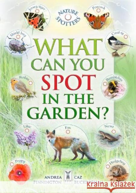 What Can You Spot in the Garden? Andrea Pinnington 9781908489685