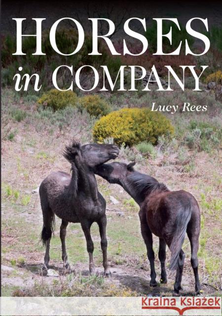 Horses in Company Rees, Lucy 9781908809568 The Crowood Press Ltd