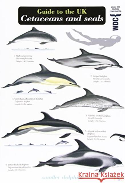 Guide to the UK Cetaceans and Seals Mark Peter Simmonds, Lucy Molleson 9781908819079 Field Studies Council