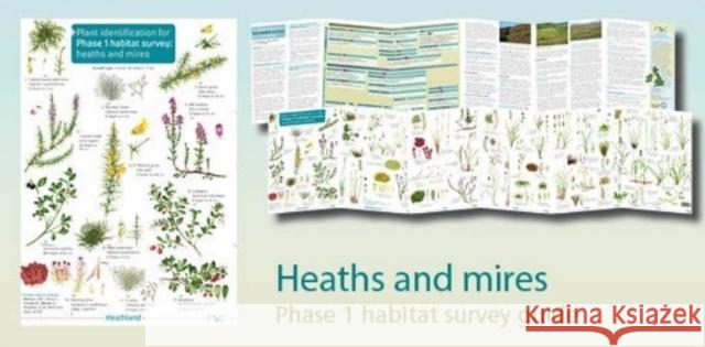 Plant identification for Phase 1 habitat survey: heaths and meres Mark Duffell 9781908819338 Field Studies Council