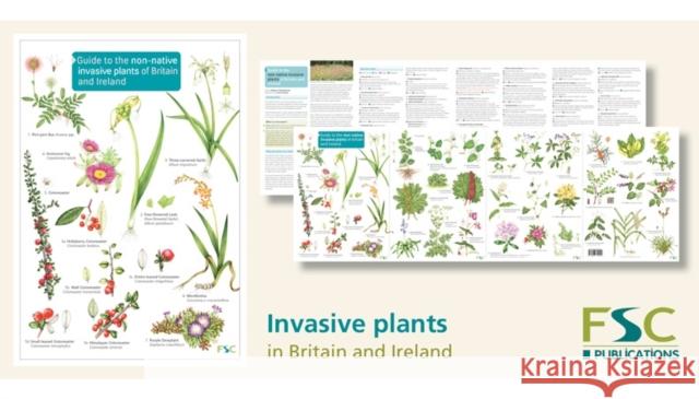 Guide to the non-native invasive plants of Britain and Ireland Rebecca Farley-Brown Lizzie Harper  9781908819499 Field Studies Council