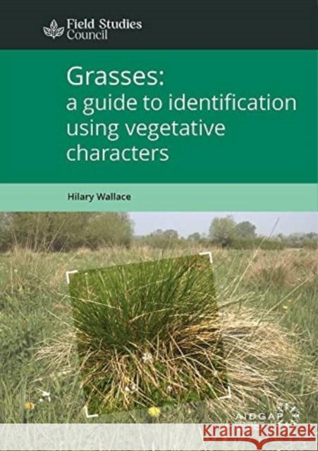 Grasses: a guide to identification using vegetative characters Hilary Wallace 9781908819550 Field Studies Council