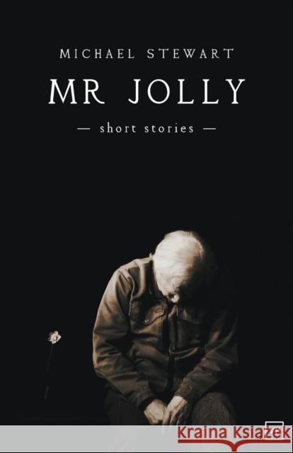 Mr Jolly - Short Stories Michael Stewart 9781908853608 Valley Press/Inpress