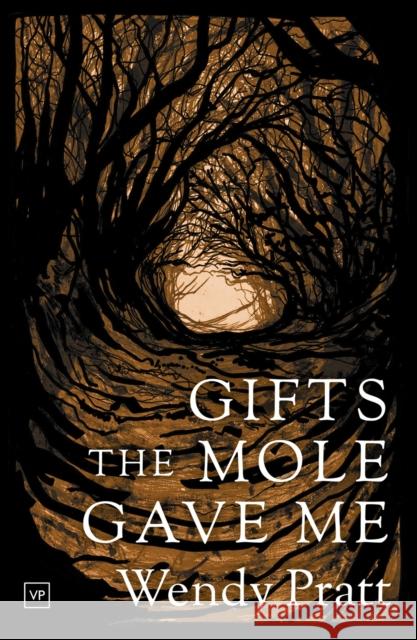 Gifts the Mole Gave Me Wendy Pratt 9781908853882 Valley Press