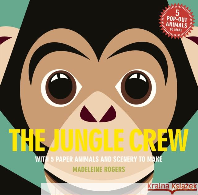 Mibo:Jungle Crew Madeleine Rogers 9781908985217 Button Books