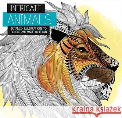 Intricate Colouring: Animals  9781909244801 Green Android Limited