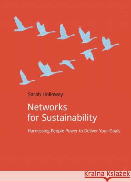 Networks for Sustainability: Harnessing People Power to Deliver Your Goals Holloway, Sarah 9781909293878 Do Sustainability