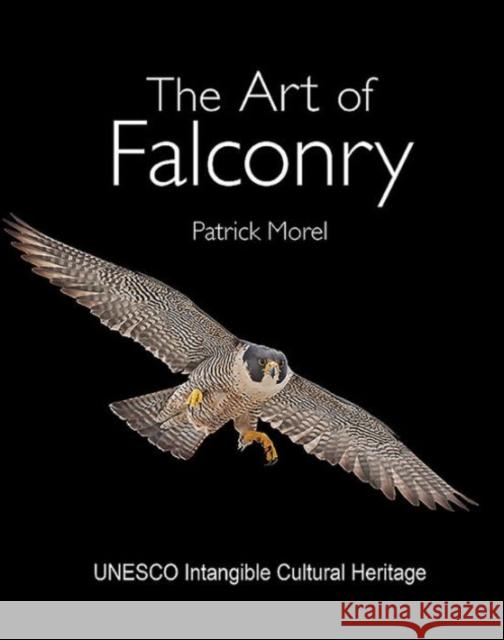 The Art of Falconry Patrick Morel 9781909339682 Medina Publishers