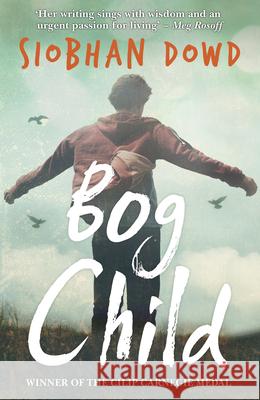 Bog Child Siobhan Dowd 9781909531178 Penguin Random House Children's UK