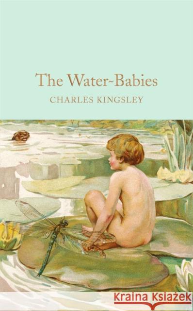 The Water-Babies: A Fairy Tale for a Land-Baby Charles Kingsley William Heath Robinson Christina Hardyment 9781909621404 MacMillan Collector S Library