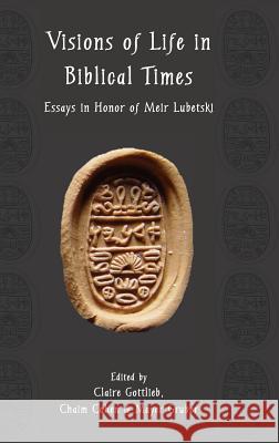 Visions of Life in Biblical Times: Essays in Honor of Meir Lubetski Claire Gottlieb Chaim Cohen Mayer Gruber 9781909697874 Sheffield Phoenix Press Ltd