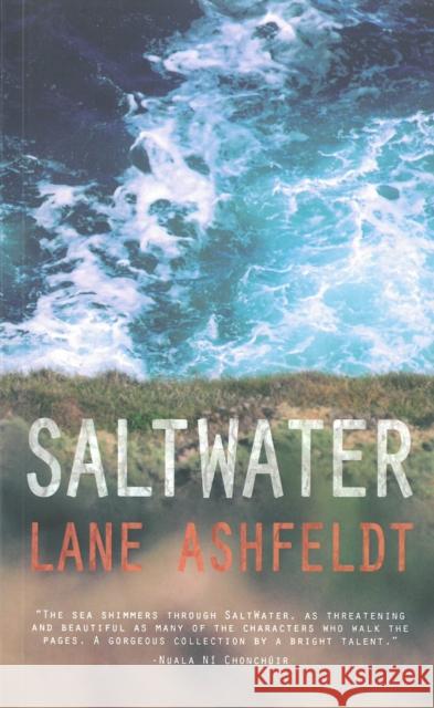 Saltwater Lane Ashfeldt 9781909718340