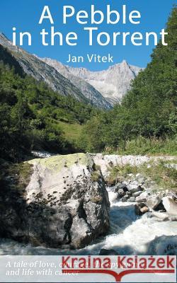 A Pebble in the Torrent Jan Vitek 9781909740662