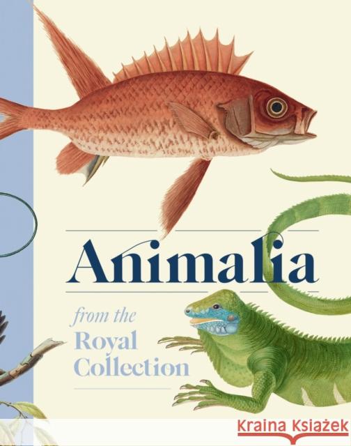 Animalia: From the Royal Collection  9781909741928 Royal Collection Trust