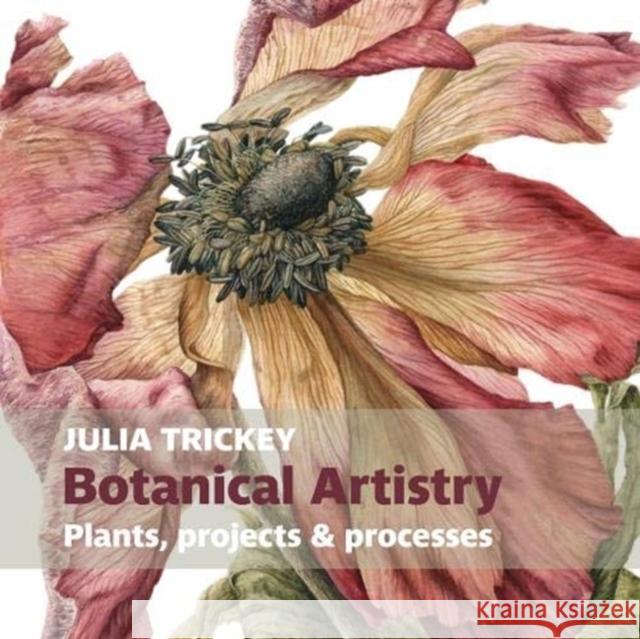 Botanical artistry: Plants, projects and processes Julia Trickey 9781909747456 Two Rivers Press