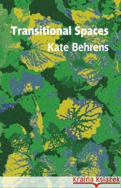 Transitional Spaces Kate Behrens 9781909747944