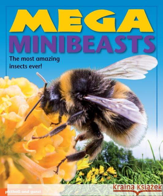 Mega Minibeasts Anna Award 9781909763562 Award Publications Ltd