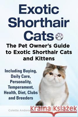 Exotic Shorthair Cats The Pet Owner's Guide to Exotic Shorthair Cats and Kittens Including Buying, Daily Care, Personality, Temperament, Health, Diet, Anderson, Colette 9781909820739 Ekl Publications