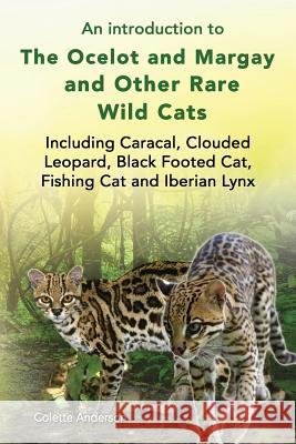 An introduction to The Ocelot and Margay and Other Rare Wild Cats Including Caracal, Clouded Leopard, Black Footed Cat, Fishing Cat and Iberian Lynx Anderson, Colette 9781909820777 Ekl Publications