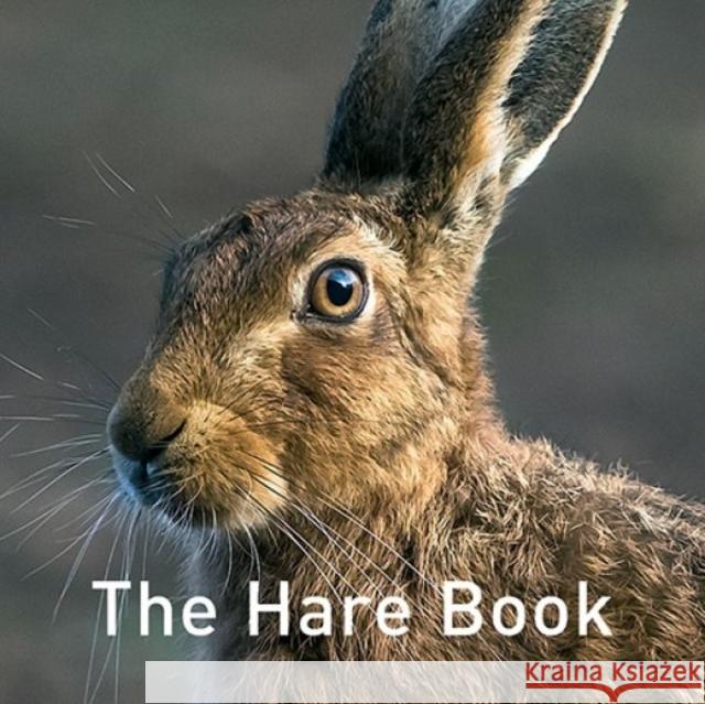 Nature Book Series: The Hare Book The Hare Preservation Trust 9781909823686 Graffeg Limited