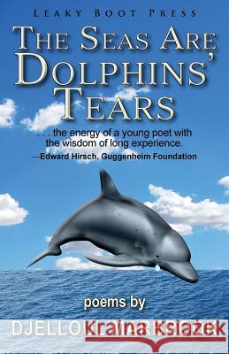 The Seas Are Dolphins' Tears Djelloul Marbrook 9781909849600