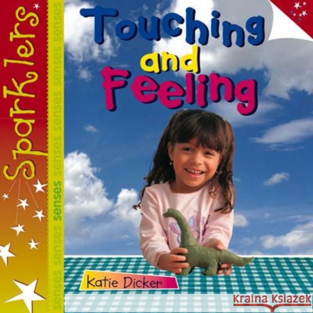 Touching and Feeling: Sparklers - Senses Katie Dicker 9781909850156 Laburnum Press