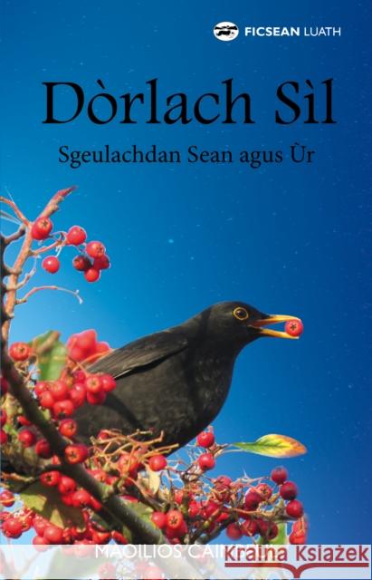 Dorlach Sil: Sgeulachdan Sean agus Ur Myles Campbell 9781910022740