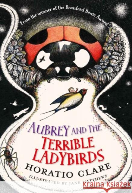 Aubrey and the Terrible Ladybirds Horatio Clare 9781910080504 Firefly Press Ltd