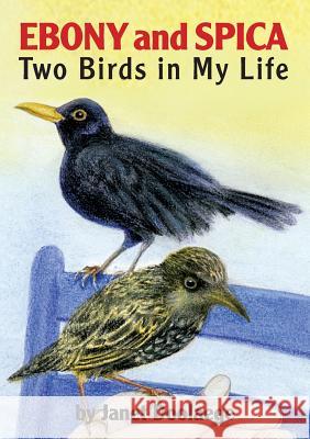 Ebony and Spica: Two Birds in My Life Janet Doolaege 9781910162934 New Generation Publishing