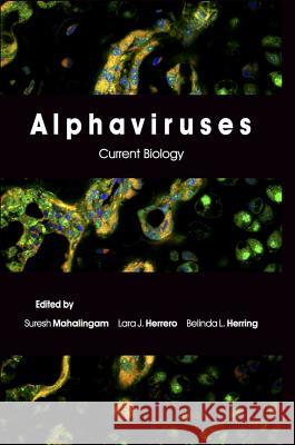 Alphaviruses: Current Biology Mahalingam, Suresh 9781910190159 Caister Academic Press