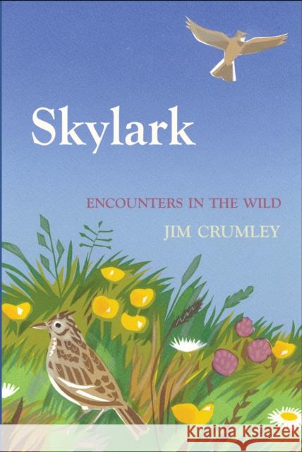 Skylark Jim Crumley   9781910192634 Saraband