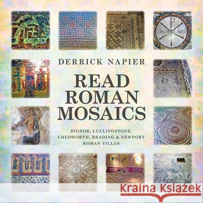 Read roman mosaics Napier, Derrick 9781910223468 UK Book Publishing