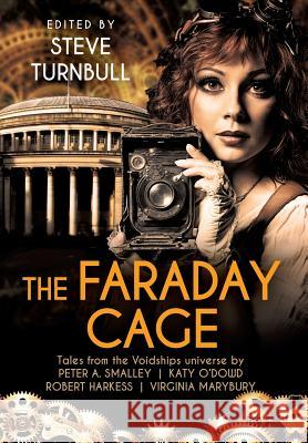 The Faraday Cage Steve Turnbull 9781910342435 Tau Press Ltd