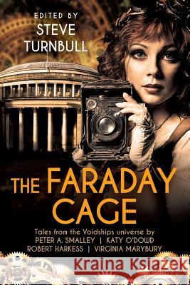 The Faraday Cage Steve Turnbull 9781910342442 Tau Press Ltd