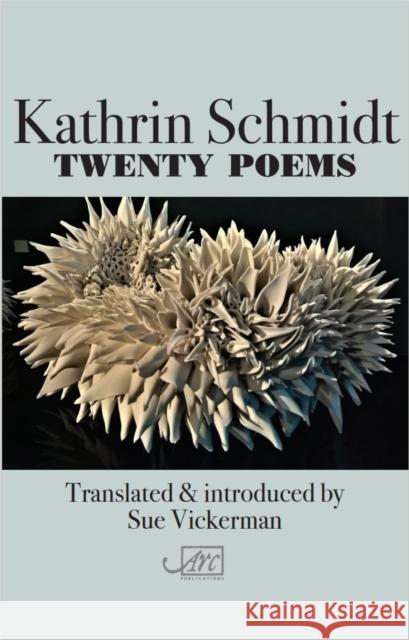 Twenty Poems Kathrin Schmidt Sue Vickerman  9781910345443 Arc Publications