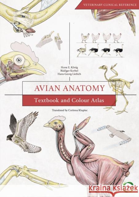 Avian Anatomy 2nd Edition: Textbook and Colour Atlas Horst Erich Konig 9781910455609